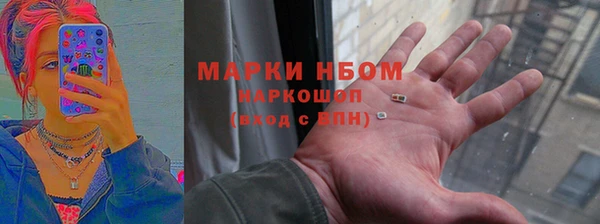 сатива Галич